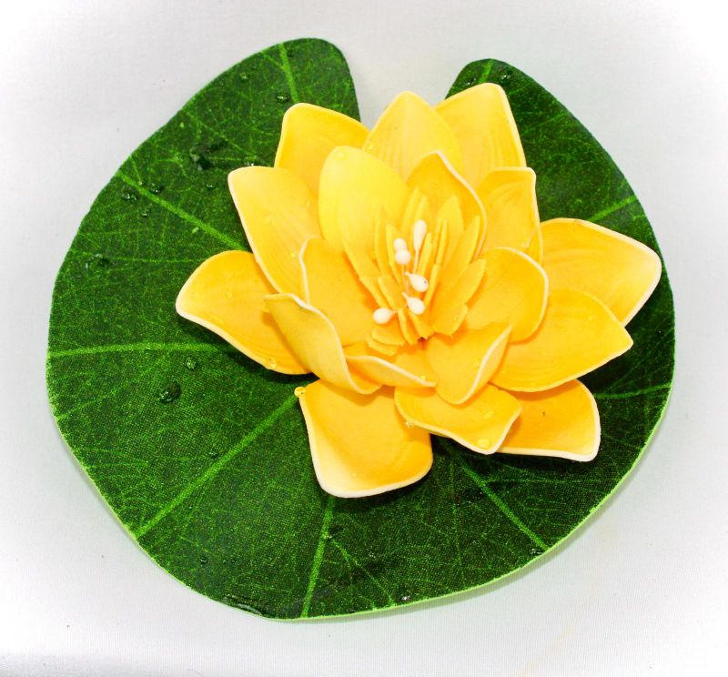 flor de lotus pequeña amarillo