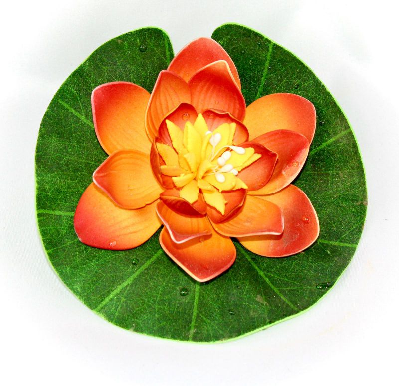 flor de lotus pequeña naranja