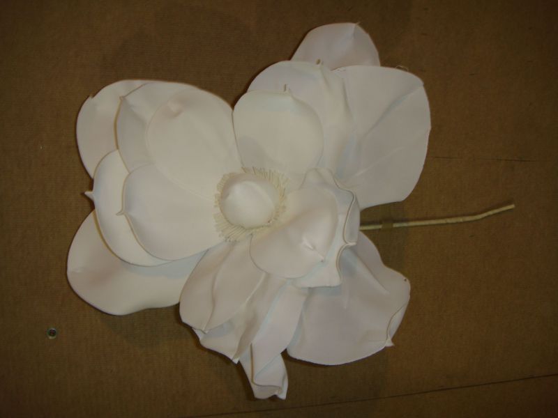 vara magnolio grande blanco